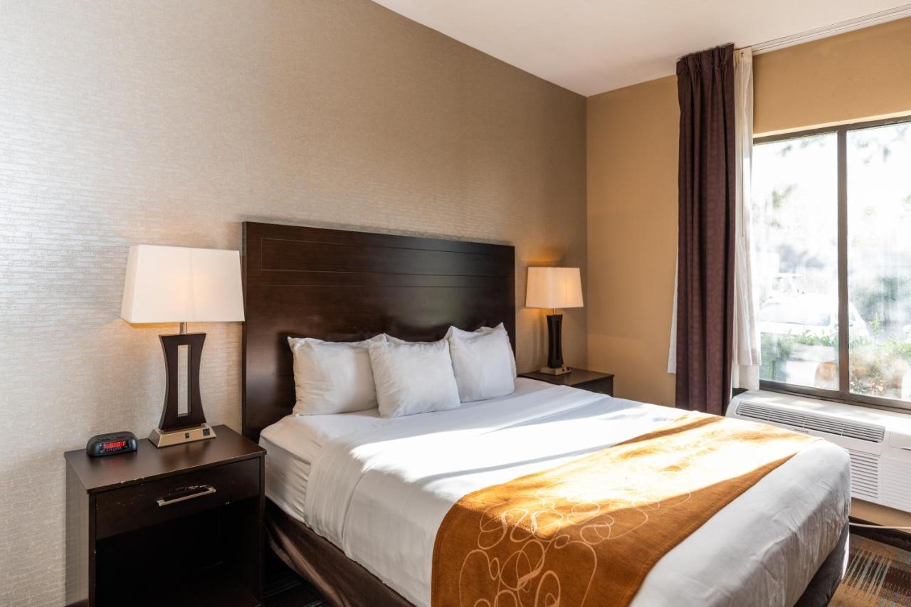 Hotel Comfort West At Clay Road Houston