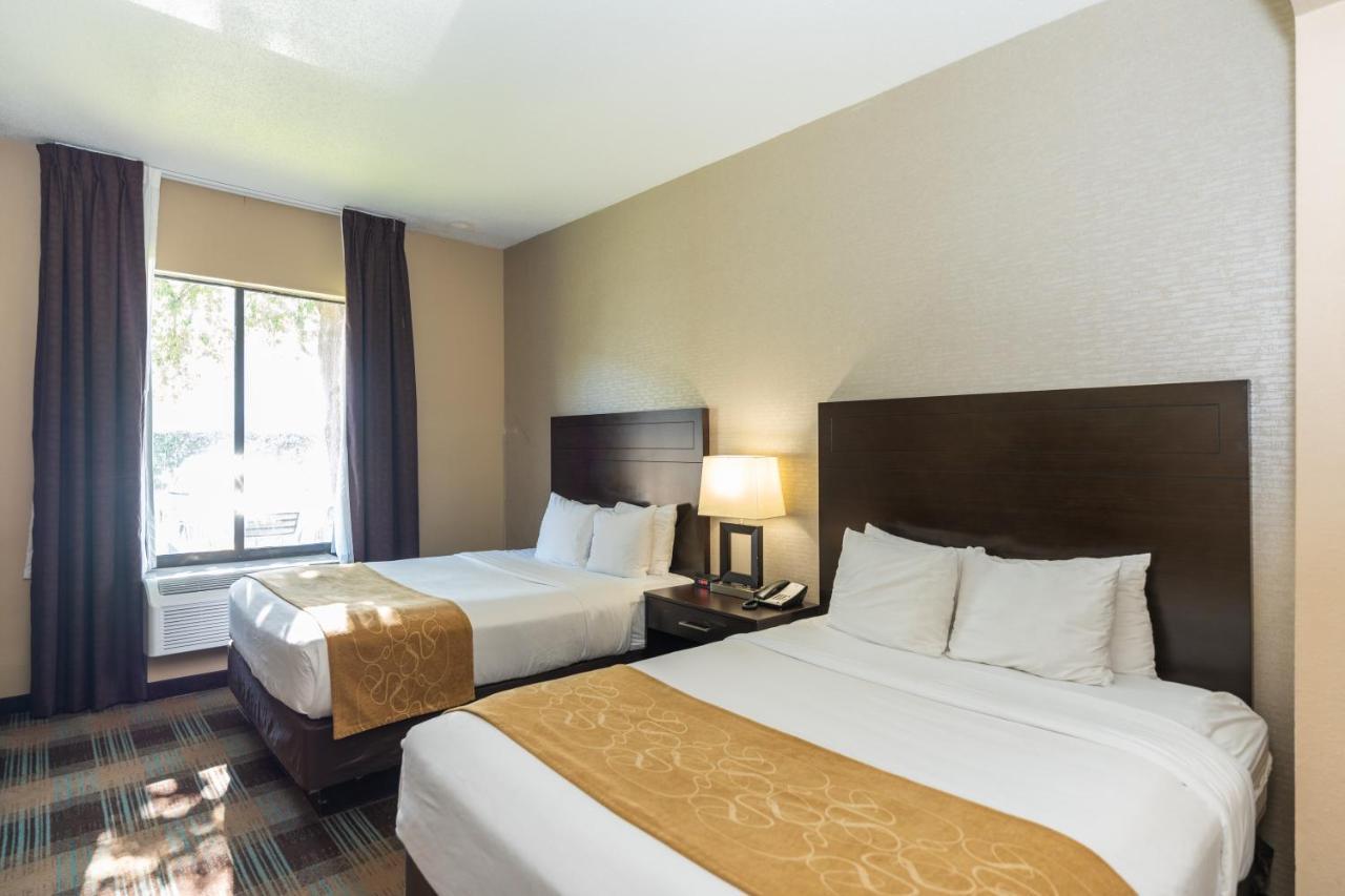 Comfort West At Clay Road